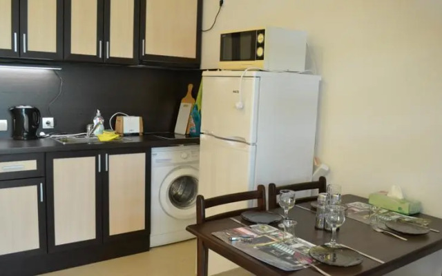 Duplex Penthouse Apartment Lipin