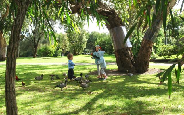 Kennett River Family Caravan Park