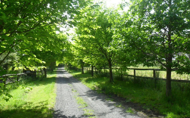 Australian Home Away at Wonga Park Brushy Creek