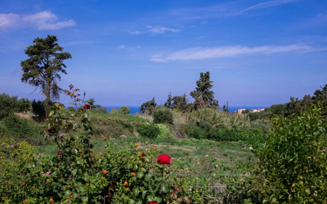 The Olive House