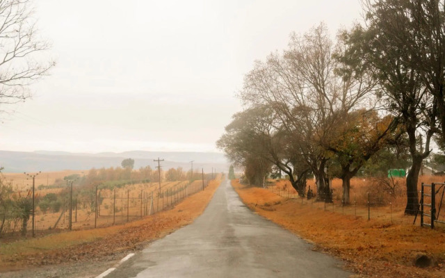 Wellstead in Champagne Valley