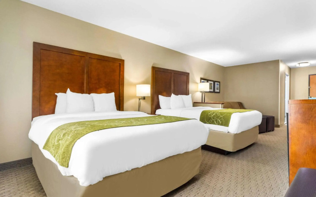Comfort Suites Mount Vernon