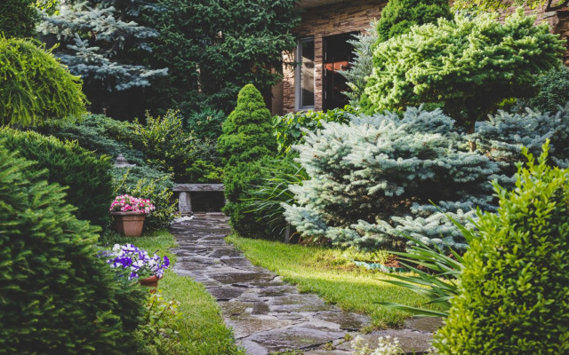 Апартаменты в гостевом домике