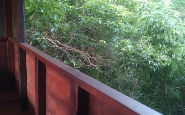 Dambulla Tree House