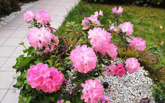 A Due Passi Dal Mare B&B