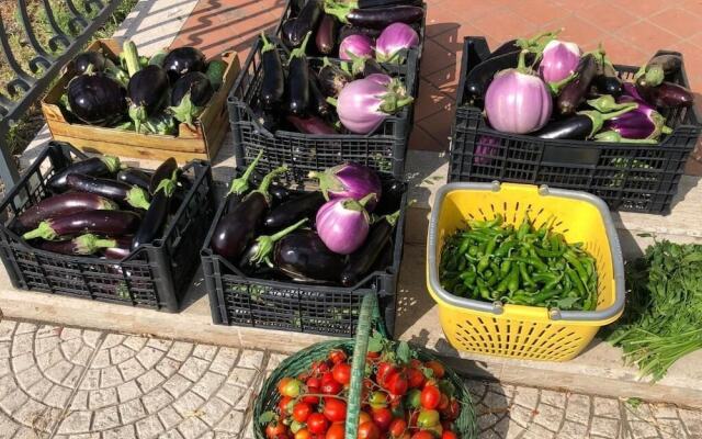 B&B Il Giardino di Nonno Agostino