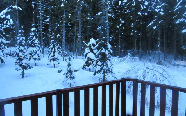 Flora Violet Studio Apartment nr 10