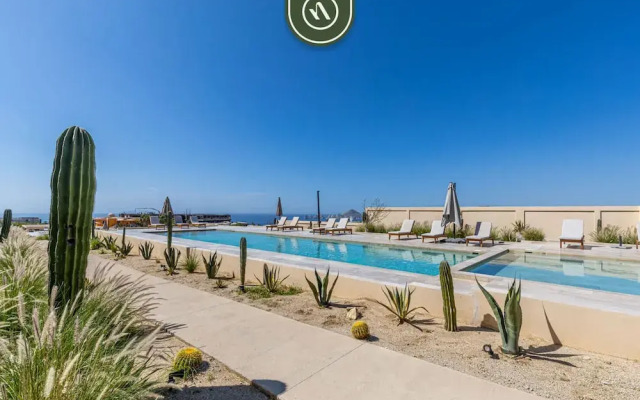 Mistiq in Cabo San Lucas BCS