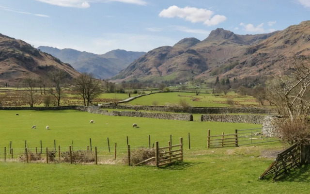 Fellside View
