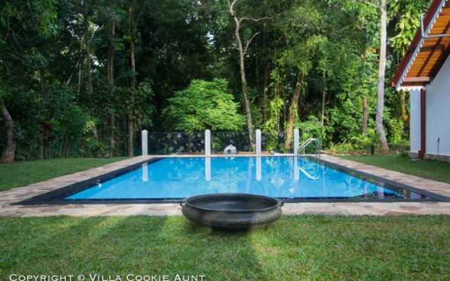 Отель Villa Cookie Aunt Шри-Ланка, Косгода - отзывы, цены и фото номеров - забронировать отель Villa Cookie Aunt онлайн