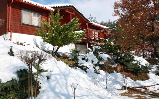 Chalets Tetrapolis