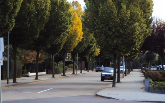 B&B T Ruivers Veldje