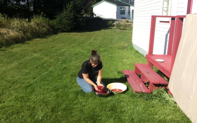 The Meems' Elliston B&B