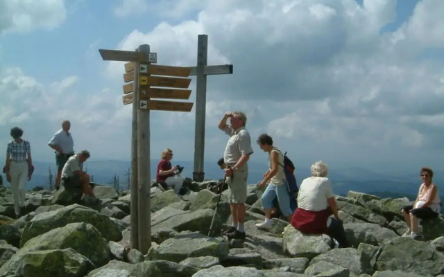 Nesterl Modern Retreat