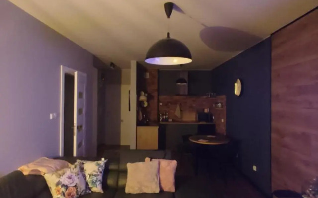 LUX Apartament ODKRYJ - BIESZCZADY