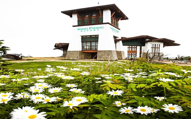 Yongpyong Resort Greenpia Condominium