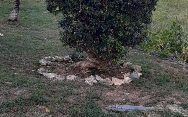 Résidence Kaya - Location meublée tout confort à Marie-Galante