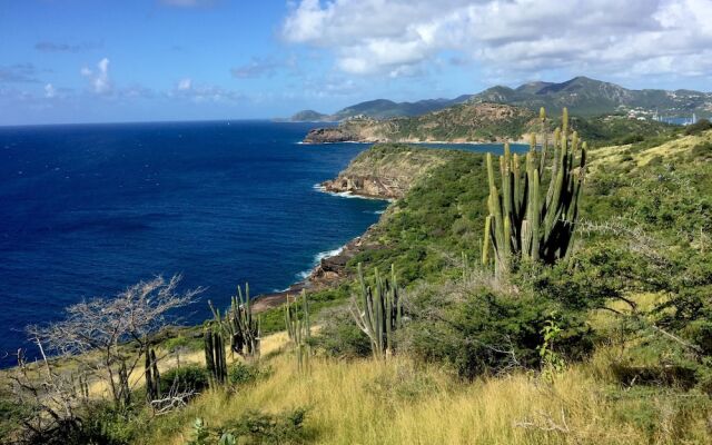 Blue Moon Antigua