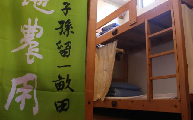 Mountain Lodge Hostel