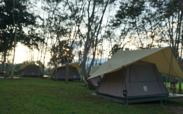 Singha Park Chiang Rai Camping