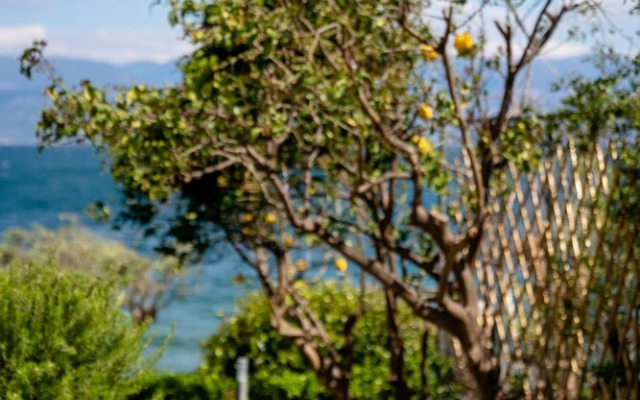 Lefkon Villa With Pool by the Sea - N Peloponnese