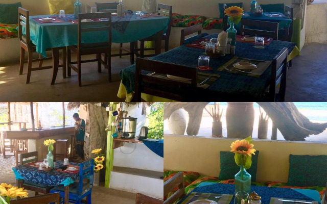 Driftwood Beach Lodge
