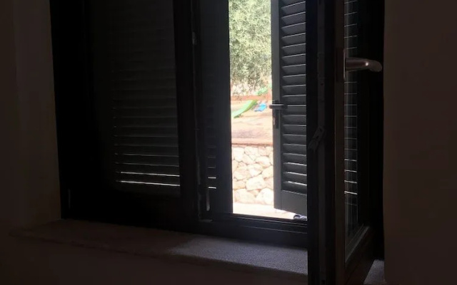 L’Ulivo
