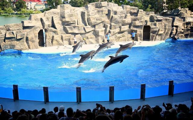 Apartment on 26 May 10/12