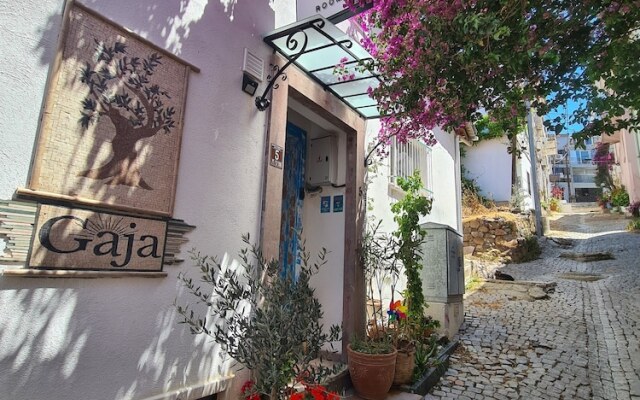 Gaja Ayvalik