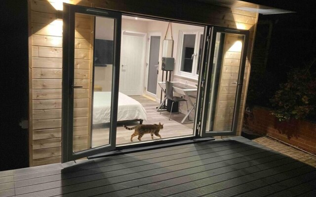 Contemporary Guest House With Outside Barrel Sauna