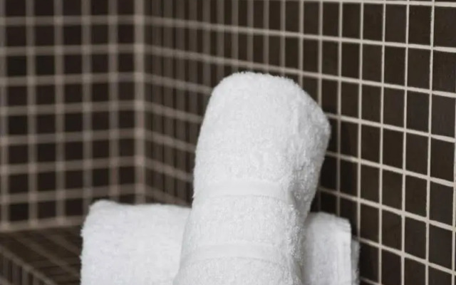 Sercotel Plaza Feria