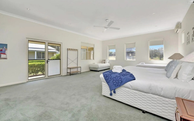 Olives and Vines at Majors Lane