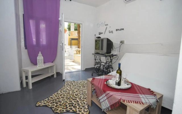 La Gatta Studio