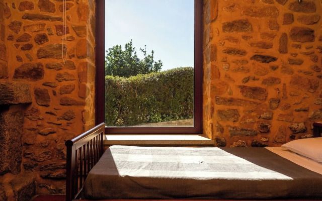 Raízes da Vinha - by Matias Nature