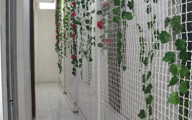 The Peak Guest House