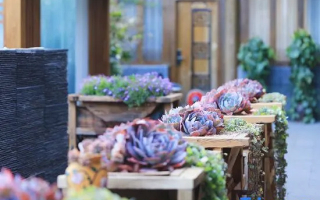 Zhiyun Residence | Lijiang Mufu Royal Garden Resort