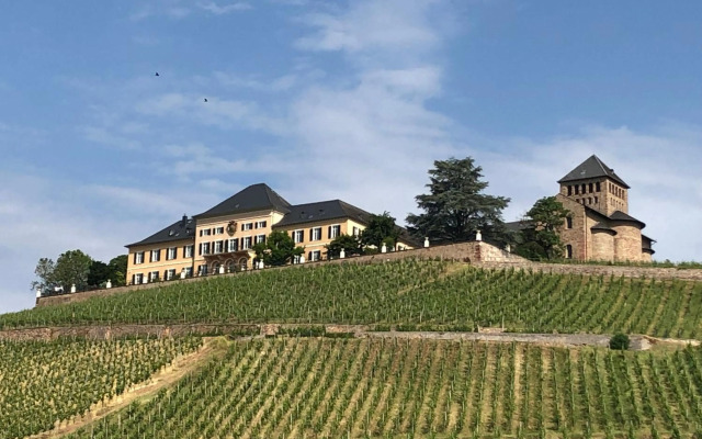 Rheingau und Weltkulturerbe Mittelrheintal erleben - Ferienappartement in Winkel