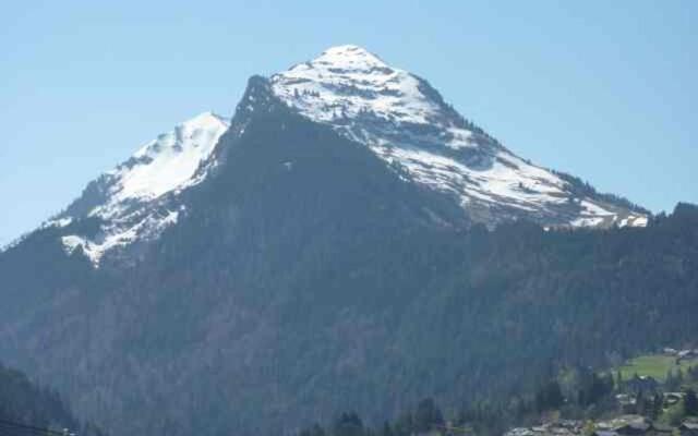 Appartement Morzine, 1 pièce, 4 personnes - FR-1-524-81