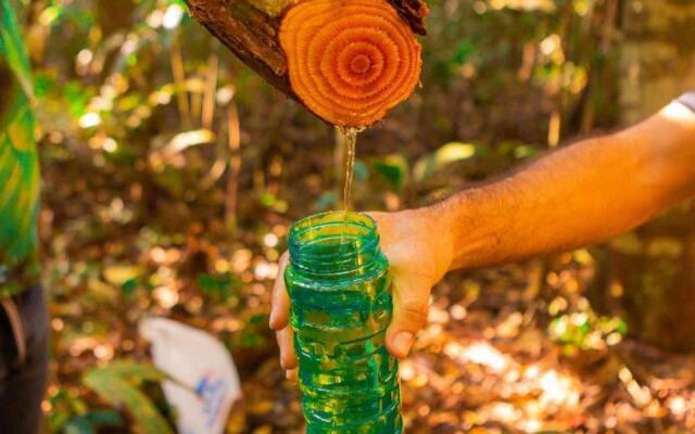 Tucunare Sport Fishing