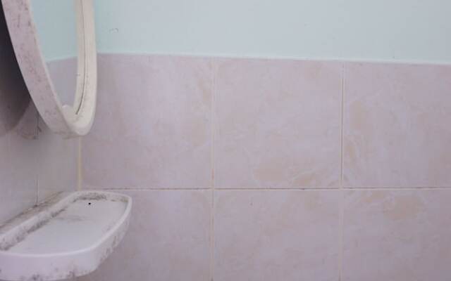 Palmy Home