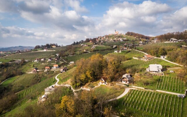 Vineyard Cottage Rataj