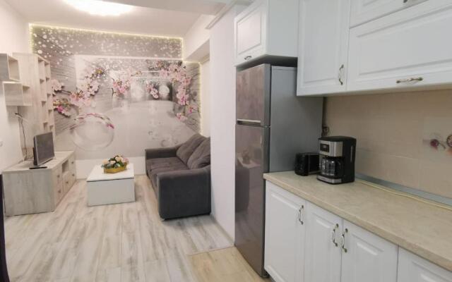 Apartament Palas 2 camere
