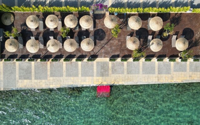Rasim Palas (Adults Only +12)