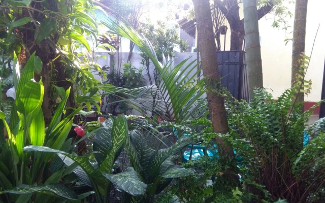Mia's Villa