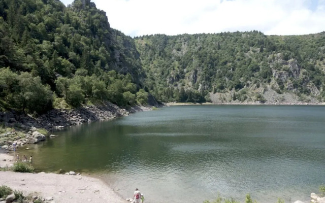 Classy Apartment in Soultzeren