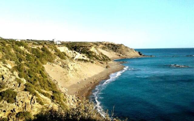 Antonis's Palm House