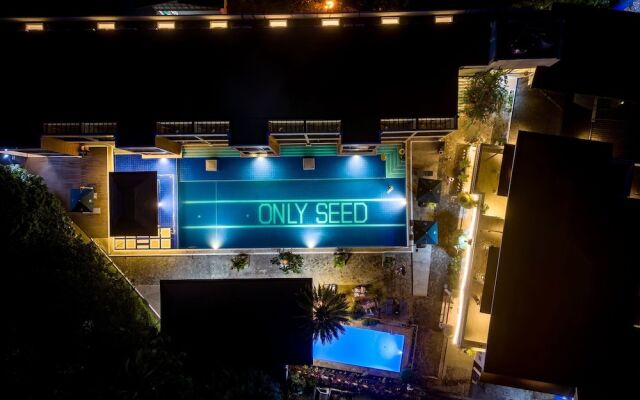 Only Seed Resort