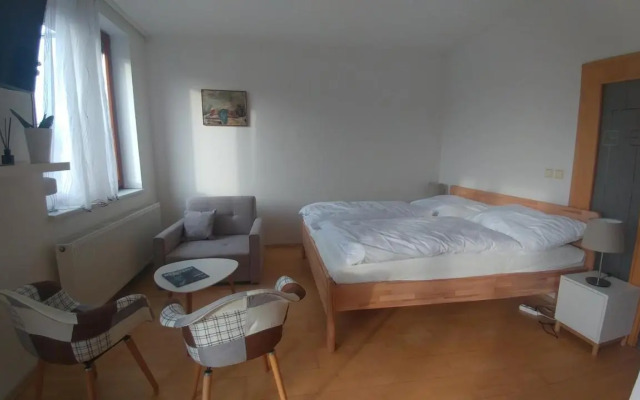 Vitkov Park Apartment