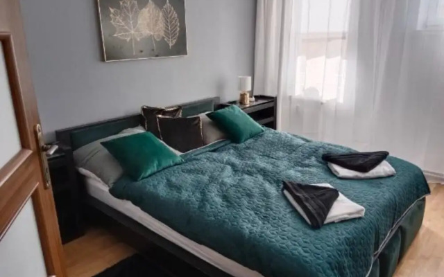 Apartment in the Center - na Ratuszu