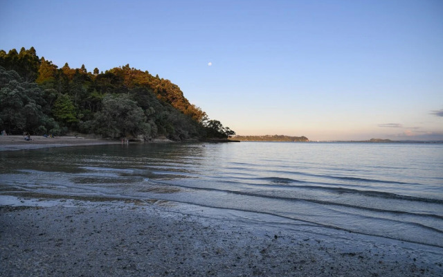 Auckland Clifftop
